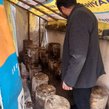 IMG 20240112 WA0037