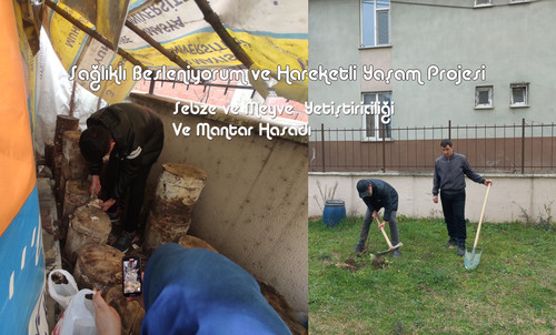 0 Saglikli Yasam Projesi Sebze Meyve Mantar Hasadi.jpg