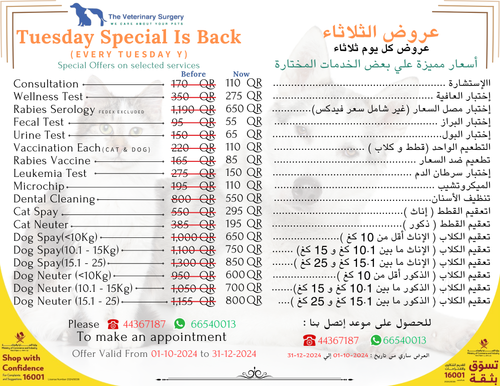 عروض الثلاثاء.png