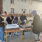 IMG 20240227 173537