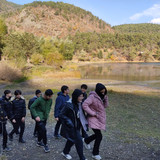 IMG 20221117 105141
