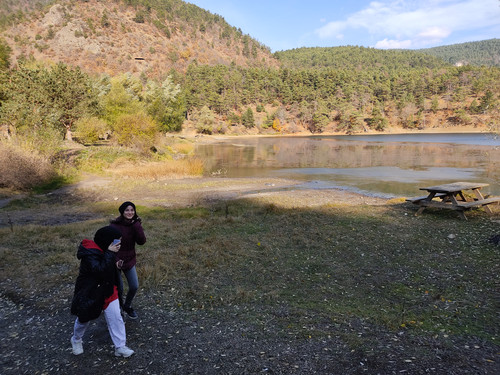 IMG 20221117 105205.jpg