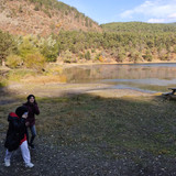 IMG 20221117 105205
