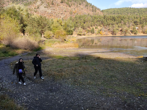 IMG 20221117 105147.jpg