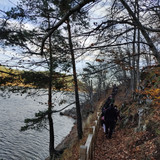 IMG 20221117 105406
