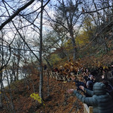IMG 20221117 105824