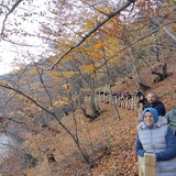 IMG 20221117 105542