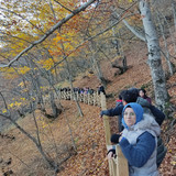 IMG 20221117 105530