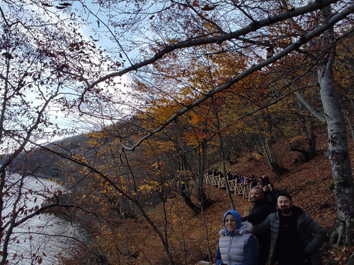 IMG 20221117 105544.jpg