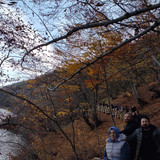IMG 20221117 105544