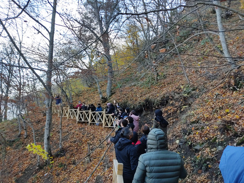 IMG 20221117 105826.jpg