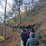 IMG 20221117 105826