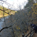 IMG 20221117 110614