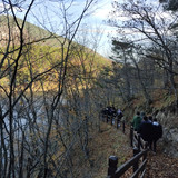 IMG 20221117 110626