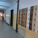 IMG 20240227 135707