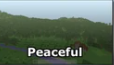 Classic Peaceful.png