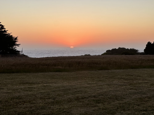 IMG 0738.jpg