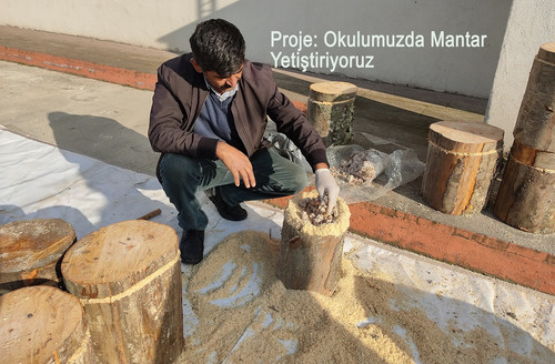 0 Manset Okulumuzda Mantar Yetistiriyoruz web.jpg