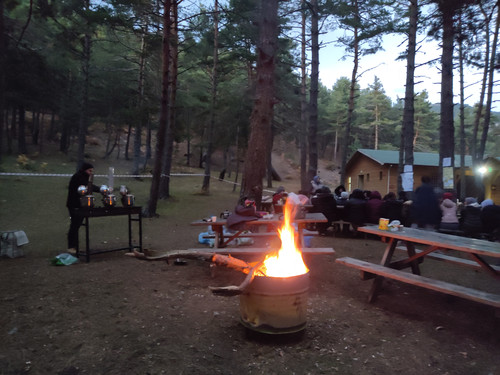 IMG 20221117 173026.jpg