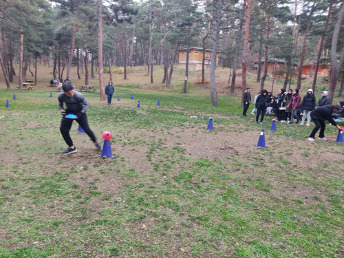 IMG 20221117 145520.jpg