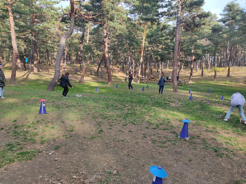 IMG 20221117 144819.jpg