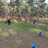 IMG 20221117 144819