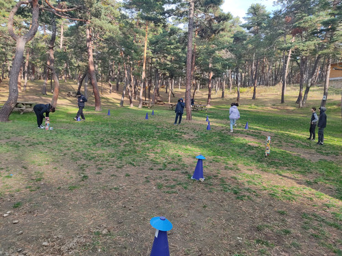 IMG 20221117 144822.jpg
