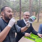 IMG 20221118 153456