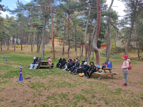 IMG 20221117 143624.jpg