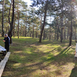PANO 20221117 103837