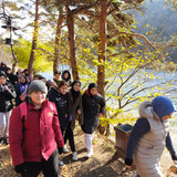 IMG 20221117 111646