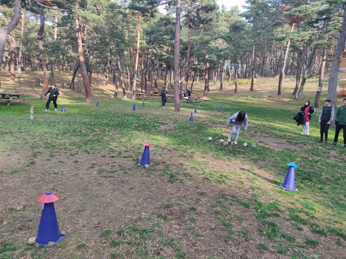 IMG 20221117 144802.jpg