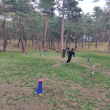 IMG 20221117 145809