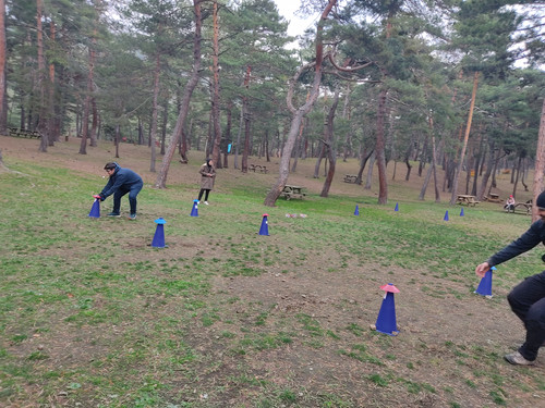 IMG 20221117 145819.jpg