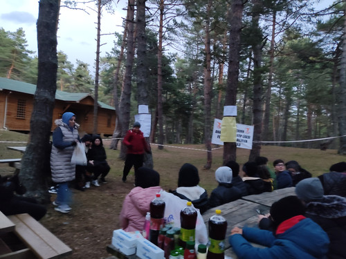 IMG 20221117 172041.jpg