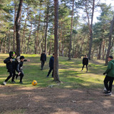 IMG 20221117 123629