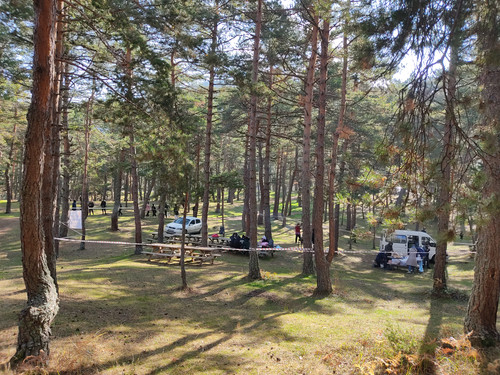 IMG 20221117 124409.jpg