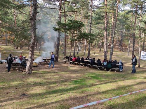 IMG 20221118 134051.jpg