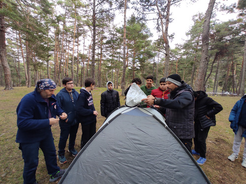 IMG 20221118 140217.jpg
