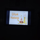 IMG 20230317 153127
