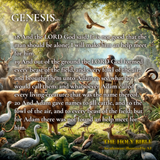 The Holy Bible AI Illustrated G2 18 20