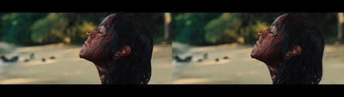 The Hunger Games Catching Fire (2013) {imdb tt1951264} {edition 3D Conv} [Bluray 2160p][3D][DTS HD M.jpg