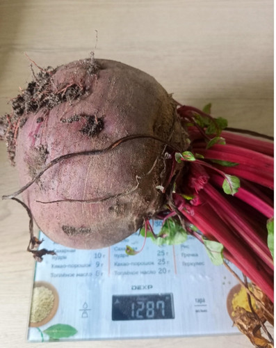 IMG 20241104 102757.jpg