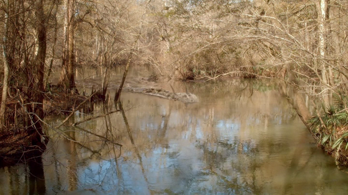 vlcsnap 2024 11 08 17h20m54s084.png