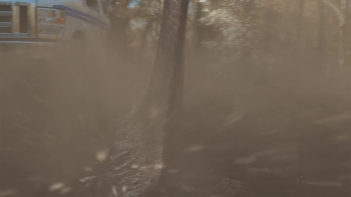 vlcsnap 2024 11 08 17h21m22s259.png