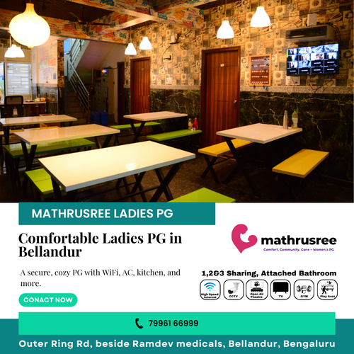 Need a comfortable ladies PG near Bellandur?.png