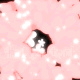 145.gif