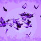 156.gif