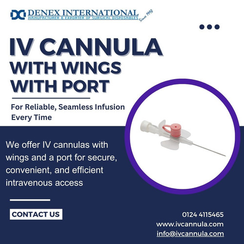 Ivcannula with wings with port.jpg