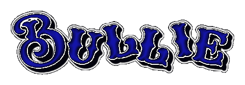 Bullie 11 7 2024.gif